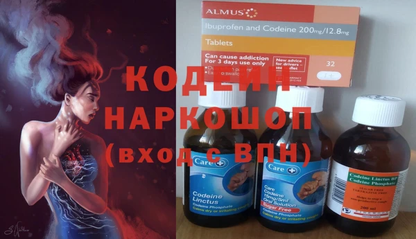 шишки Нея